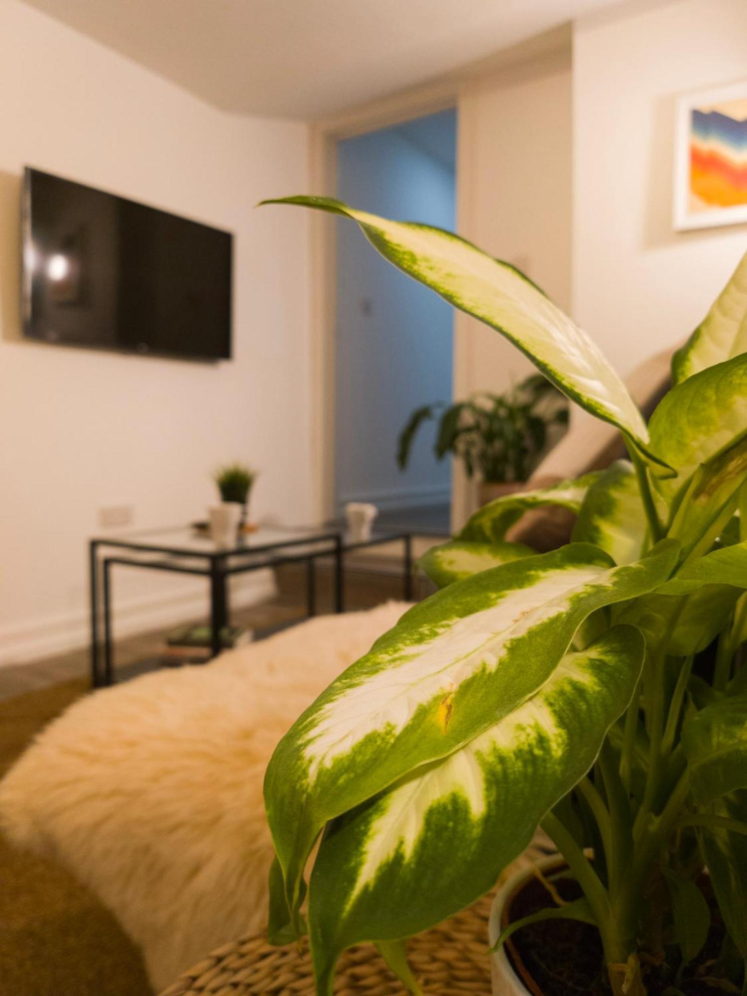 Plenty Of Parking Available; 3 Bedroom Apartment By Property Promise คาร์ดิฟฟ์ ภายนอก รูปภาพ